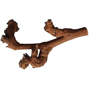 Rebwurzel sandgestrahlt (30-40 cm)