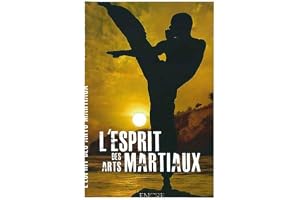 L'esprit des arts martiaux