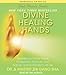 Divine Healing Hands: Experience Divine Power to Heal You, Animals, and Nature, and to Transform All Life by 