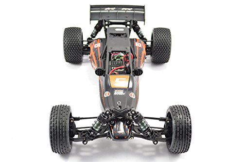 FTX Surge 1/12 Brushed Buggy Ready-To-Run (Orange/Black)