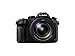 Price comparison product image Panasonic Lumix Bridge Camera with 4K Video and Leica Camera Lens (DMC-FZ2000EB)