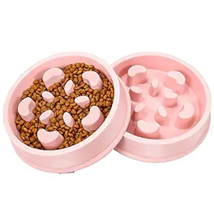 UPSKY Slow Feeder Dog Bowl Fun Feeder No Chocking Slow Feeder Bloat Stop Dog Cat Food Water Bowl with Funny Pattern (Set of 2)