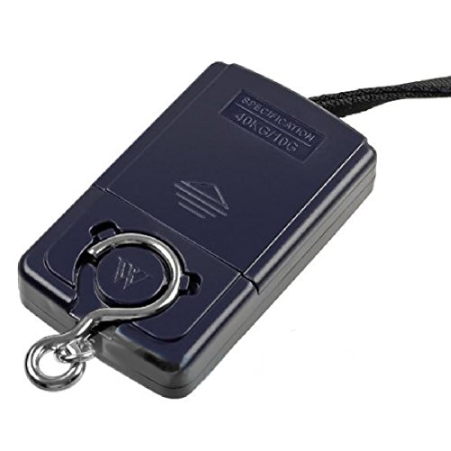 10g 40Kg Digital hängender Gepäck Fischerei Gewicht Skala elektronische Tasche mini protable Fisch Skalen - 3