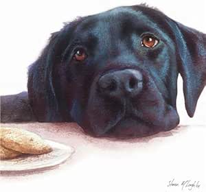 Black Labrador Blank Greetings Card Black Labrador Head By Paul Doyle C359
