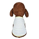 🍋🍋🍋cinturon perro collares para perros antiparasitos collares para perros peque collares para perros grandes chubasquero perro grande protector maletero perro bebedero perro automatico pipetas perros peque pipetas para perros pipetas perros frontline perros coche perros juguetes perros peque perros cama perros collar perros de caza perros de verdad mascotas easy walk arnes perro collar perro rosa collar perro pinchos cochecito para perros peluches de perros
