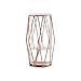 Produktbild Grilsrylyna Hydroponische Vase,Nordic Metall Licht Kreative Hydroponics Container Grüne Rose Blumenvase Metallverzierungen Wohnzimmer Schlafzimmer Dekorationen Diamant Gold,Exquisite Verarbeitung