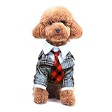 2. Diseño: vestido de caballero, fecha del perro, ropa preferida para las actividades del partido