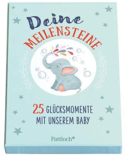Preisvergleich Produktbild Deine Meilensteine: 25 Glücksmomente mit unserem Baby