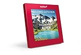 In roter Geschenkbox mit detailliertem Katalog zum Stöbern, Entdecken und Informieren