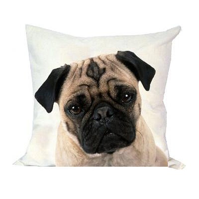 Mars & More - Kissen - Mops, Mopshund - 50 x 50 cm - 100 % Baumwolle - mit Inlet