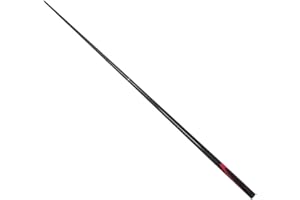 RiToEasysports Bâton de Billard de 9 Mm, Queues de Billard en Carbone, Queues de Billard, Bâton de Billard, Accessoire de Fournitures