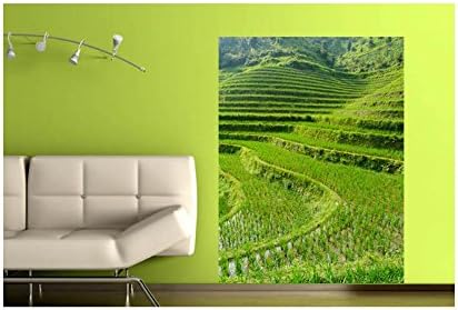 Stickers Paddy Fields Scenery, L 120cm x H 180cm