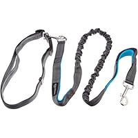 AmazonBasics - Jogging-Hundeleine mit Gummizug, 1,21 m, reflektierend, Blau