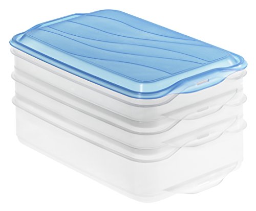 Rotho 1701906644 Aufbewahrungsbox, 3-teilig (1x 1.35 l + 2x 0.75 l), transparent/blau