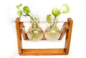 Neverwaste | Wooden Flask Stand | Set of stanf and 2 Flask | Planter | Flask Planters | propagate in Style | Best Plant Propagation Stations