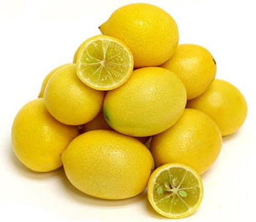 FERRY Semillas orgánicas única No Plantas: Limequat - Key Lime/Kumquat - 100 Semillas -NO ENVÍO a TX, FL, AZ, CA, LA, HI