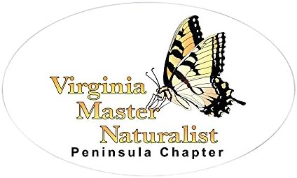 CafePressVMN Chapter Logo For Lighter Shirts Sticker Oval Bumper Sticker, Euro Oval Car Decal