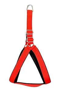 YOUNIQUE MERCHANDISE Premium Strong Nylon Everyday Dog Harness (Extra Small_ Red Black)
