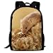 Produktbild School Backpack Laptop/Mouse for Adult
