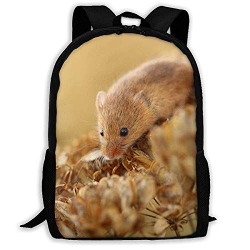 Preisvergleich Produktbild School Backpack Laptop / Mouse for Adult