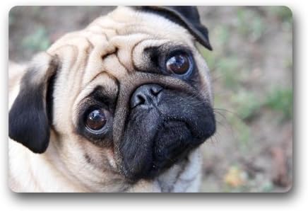Quality Guaranteed Pug Dog Doormat Custom Indoor/Outdoor Doormat-528