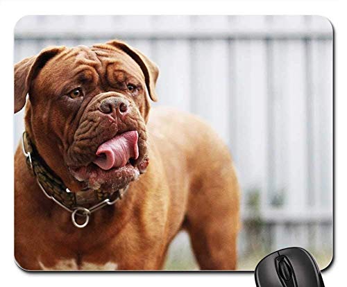 Preisvergleich Produktbild Spielmausunterlagen, Mäusematte, Bordeaux-Hundesommer-De Pet Nature Background