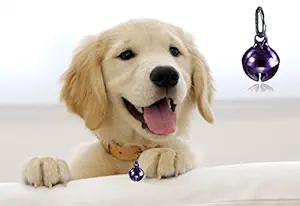 Sage Square Metal Bell Collar Tag Cum Pendant for Dog/Puppy/Kitten/Cat (Purple)