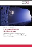 Image de Laboreo Minero Subterráneo