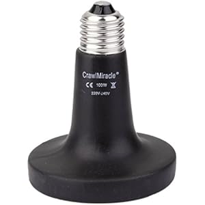 220-240V 100W Haustier Wärmelampen Heizung Brutapparat Licht Keramik Wärme Emitter Geräte Reptil