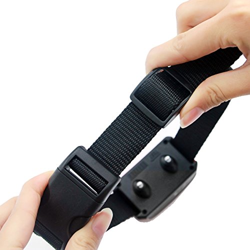 Fanme-800-Yards-Remote-Dog-Training-Collar-Rechargeable-Pet-Training-Collar-with-Automation-Adjustable-Beep-Vibration-Flashlight