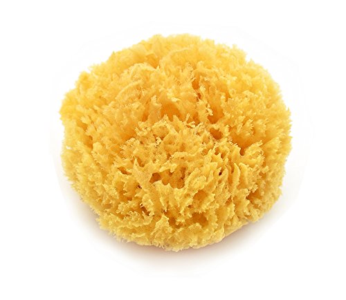 MAGNUM Natural Caribbean Sea Sponge
