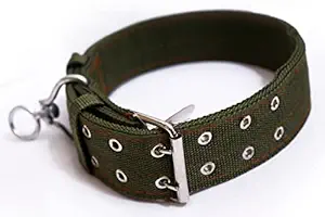 2 Collar in Random Collar (Green)