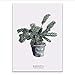 Produktbild Ganjue Leinwand Gemälde Nordic Skandinavischen Büro Wandkunst Poster Bild Für Wohnzimmer Wohnkultur Pflanzen Blätter Fan Palm Mit Rahmen