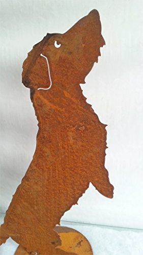 Rauhhaardackel "Willi" auf Platte aus Metall, rost, 60 x 40 cm, Saremo Gartendekoration