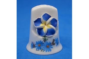 BIRCHCROFT CHINA Birchcroft Porzellan-Fingerhut zum Sammeln – Cameo Vergissmeinnicht