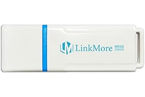 LinkMore NR34 Chiavetta USB 256GB, USB 3.2 / USB3.1 Pen Drive, Velocità di Lettura fino a 120MB/s, Memoria Stick Thumb Drive