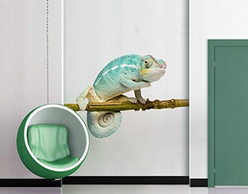 Wandtattoo No.151 Chamäleon Blau WandSticker WandTattoo Reptilien Exotisch