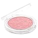 Collection Blush Bashful 4g