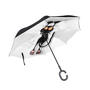 ISAOA invertido Paraguas Resistente al