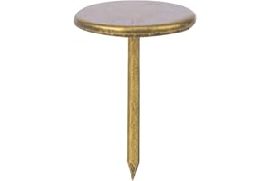 SHANRYA Accessori per mobili, chiodo per tappezzeria 100 pezzi per artigianato fisso sul divano, tamburo per chiodi per tappezzeria(Diametro 14 MM * lunghezza totale 20 MM)