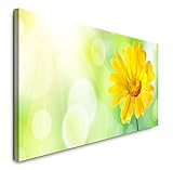 Unsere Leinwand-Rahmen sind aus echtem Kiefern- oder Fichtenholz und haben standardmäßig eine Tiefe von knapp 22 mm. Unserer ökologischen Verantwortung sind wir uns stets bewusst, verwenden nachwachsende Rohstoffe sowie lösungsmittelfreie Tinten und achten darauf, dass der im Onlinehandel leider nicht ganz vermeidbare Verpackungsmüll etc. so minimal wie möglich ausfällt.