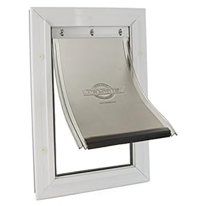 Nom Chat P Nom De Chat 19 Avec La Lettre P Nomchat Com