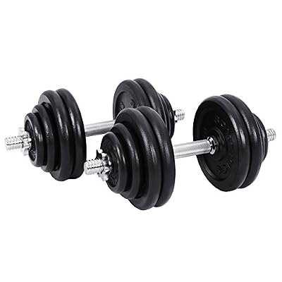SONGMICS Lot de 2 haltères Courts en Fonte 20 kg 30 kg 40 kg (2 x 10 kg, 2 x 15 kg, 2 x 20 kg) (60)