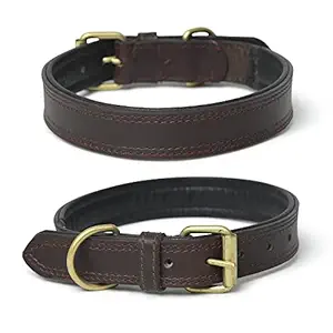 Cavaldii ITALIA Dog Collar Made Genuine Leather with Antique Metal Buckle and D Ring, Waterproof Dog Collar(Brown)