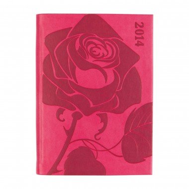 Download Letts A6 Breast Cancer Day to Page Diary for 2014