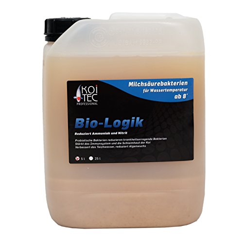 Milchsäurebakterien (5 L) für Teich und Koiteich steigern die Gesundheit der Koi - probiotische Filterbakterien Filterstarter Starterbakterien Teichbakterien reduzieren Schadstoffe (Ammoniak, Nitrit), Algen und Schlamm für ein klares und sauerstoffhaltiges Teichwasser im Gartenteich