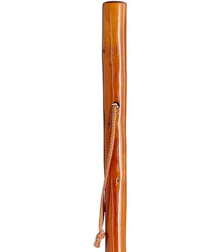 Windalf Schwarzer Wanderstock Mit Drachenkopf – Mittelalter-Stab, 130 Cm, Handgefertigt Aus Holz | Druiden-Stab FAFNIR