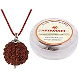 Astrodidi Rudraksha 5 Mukhi Nepali Pendant (Brown)