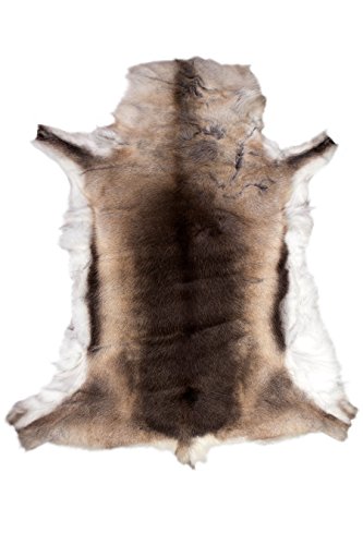 Piel de Reno en la Calidad a