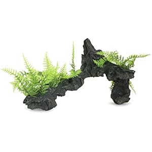 Lucky Reptile FW-2 Forest Wood Amazonas